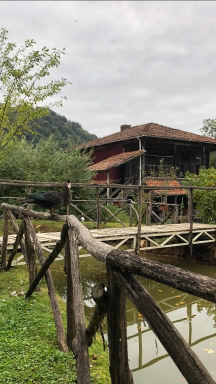 Gomis Mta Riverside Ozurget'i Exteriér fotografie